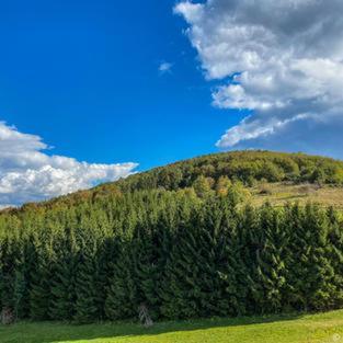 Dome Home Tents Taor Валево Екстер'єр фото